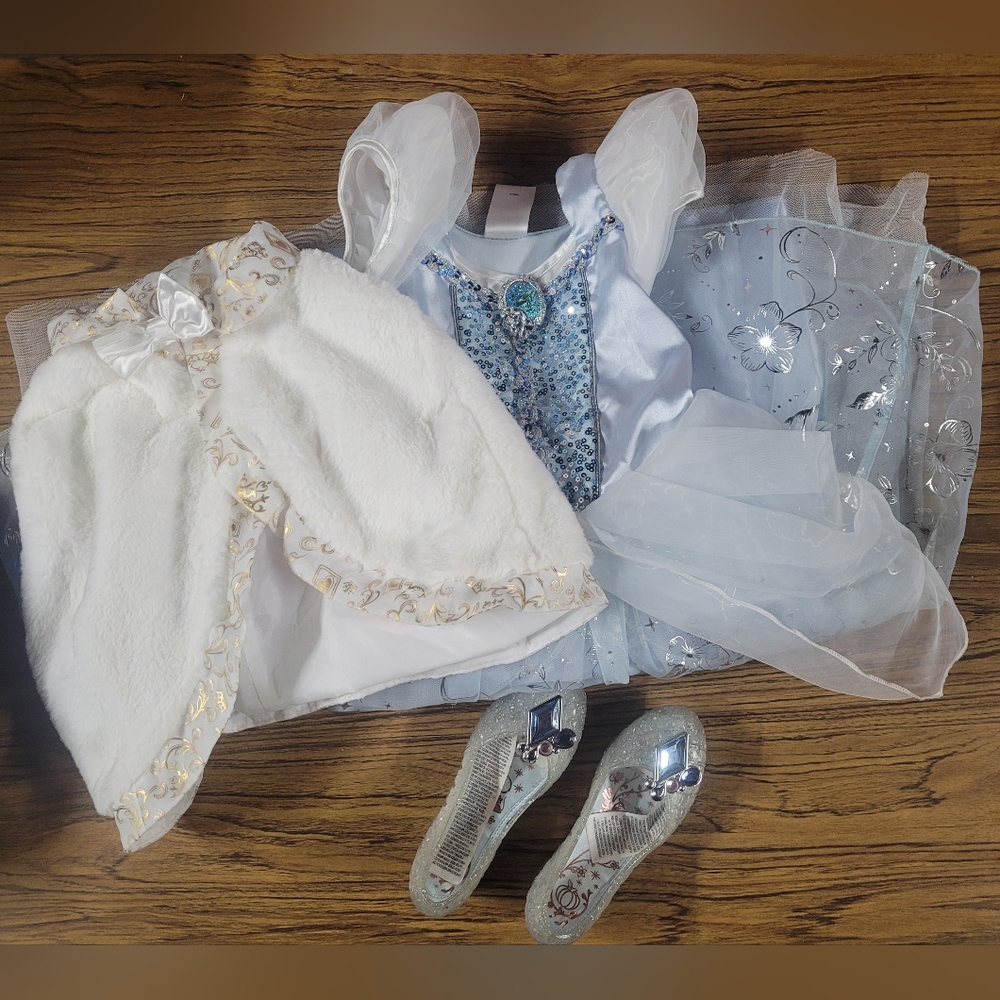 Cinderella costume